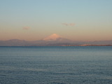 2012_0218_064440