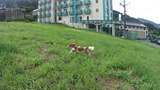 DSC00469