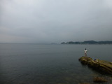 P1130931