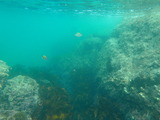 P8130797
