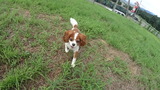 DSC00444