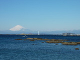 2012_0218_084839