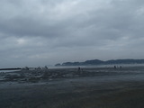 P8190863