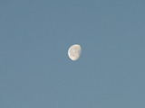 2012_0212_064450