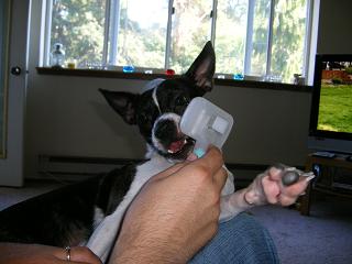 haru9407