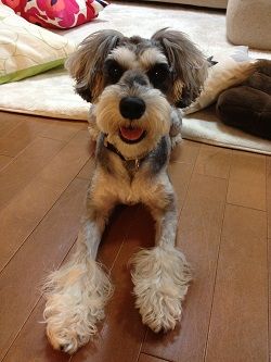 キラキラ