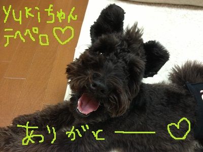 ゼリー6