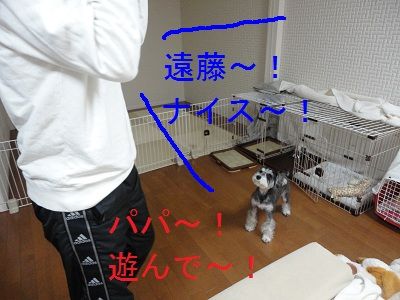 DSC07454