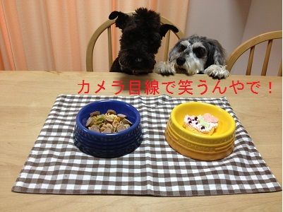 ちょこび11