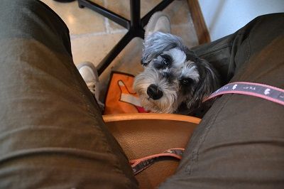 DSC_0180