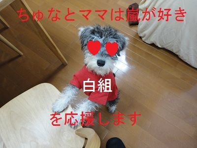 DSC03012