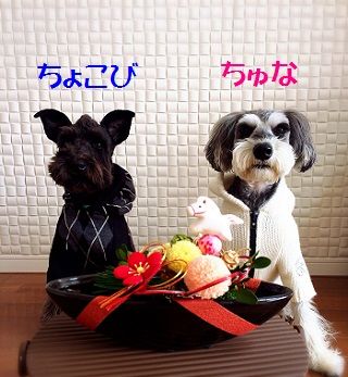 午年