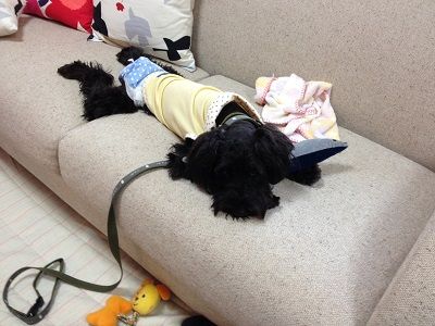 台風3