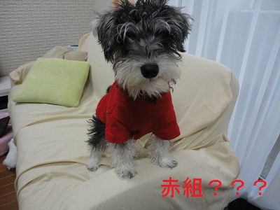 DSC03014