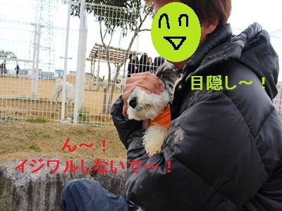 800x600 next (6)