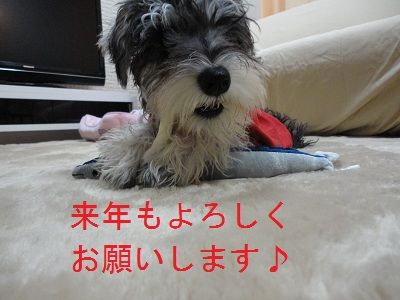 DSC03033