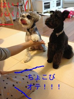 練習3