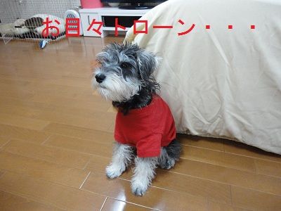 DSC03027