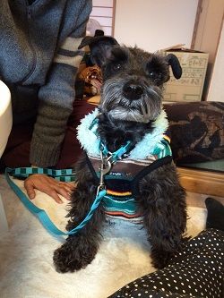 新年会20