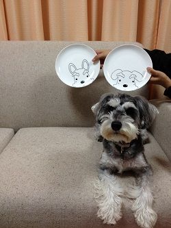 シュナプレート