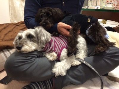 新年会16