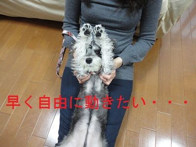 DSC04486