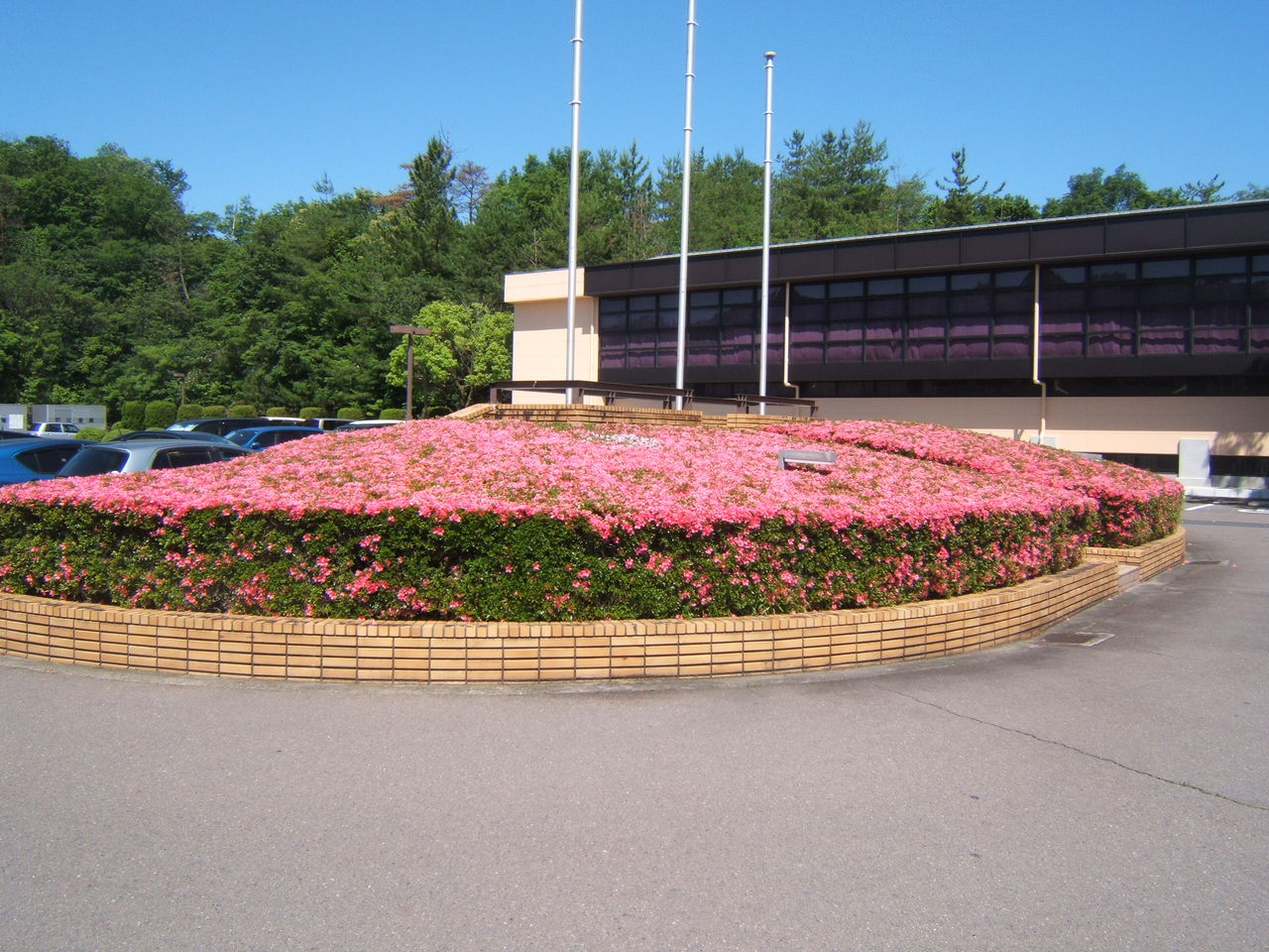 DSCF1751