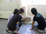 090829taiken11
