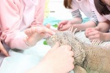 ¤¤â¤Á¤¤¤¤