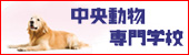 中央動物専門学校ホームページへ