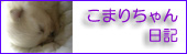 こまりちゃん日記