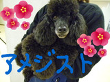 BlogPaint