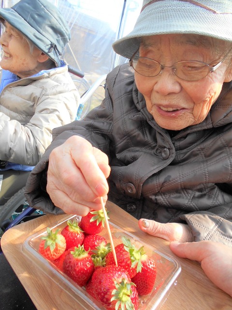 DSCN0931