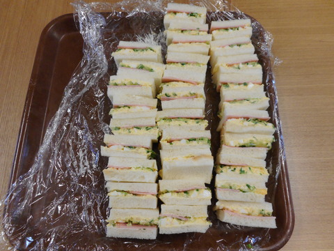 DSCN2506