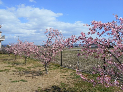 DSCN0958