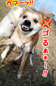 ¥ë¥Ã»Ò¤¯¤ë4