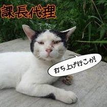 ¥«¥Á¥ç¡¼¡Ê£´¡Ë£²¡¤£²£·¡¤£²£·
