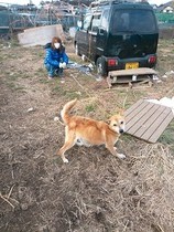 真奈美さんとレモン3、3,8,26