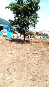 IMG_20170601_085504