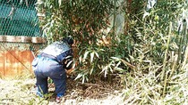 IMG_20170601_085641