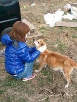 真奈美さんとレモン3,8,26