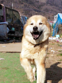 ¥¨¥Ó01