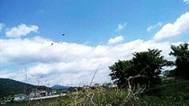 IMG_20170530_103031