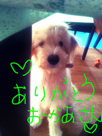 ¥ª¥ê¥Þ¡¼¥³¥¹30