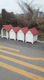 作れるだけ作って池ワン前道路に並べる