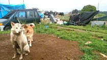 IMG_20170528_065650