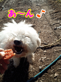 ¥¯¥¥2