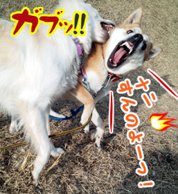 ¥ë¥Ã»Ò¤¯¤ë1