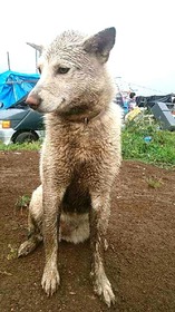 IMG_20170528_065753
