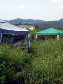 kusa14